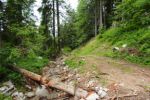 2014-07-05_Laengental-N-Hochweg (958). JPG